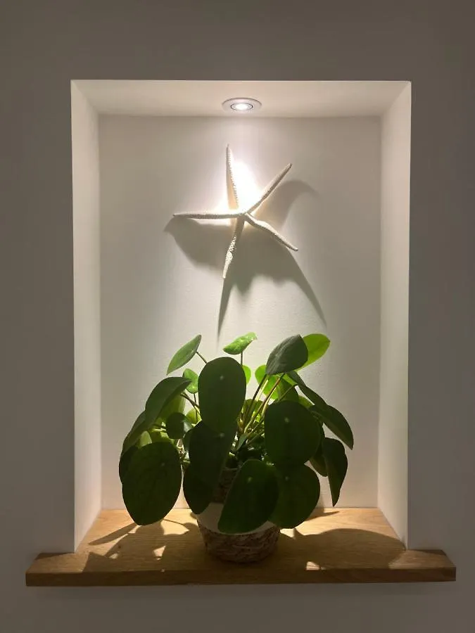 Appartement Van Der Zee Zandvoort Apartment